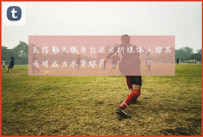 瓦格勒天赋与打法分析媒体人称其或将成为水货球员